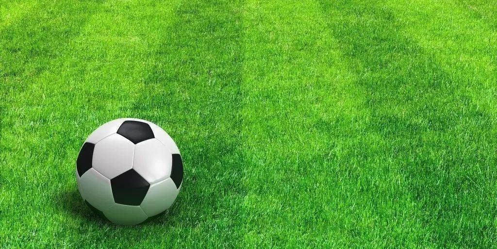 竞彩任选九场玩法分析界面